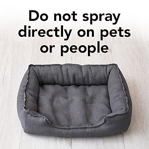 raid